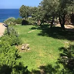 Alma Del Mar