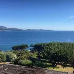 Alma Del Mar *