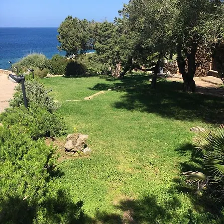 Alma Del Mar