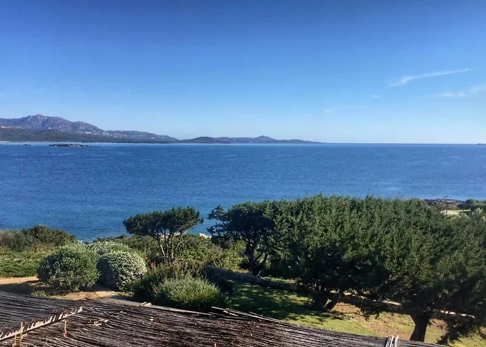 Alma Del Mar *