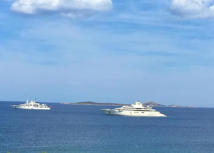 Alma Del Mar